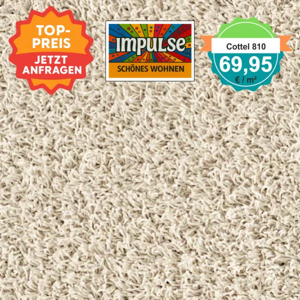 Draufsicht JAB Cottel 810 Hellbeige – Teppichboden, Farbe Hellbeige, Preis 69,95 €/m²